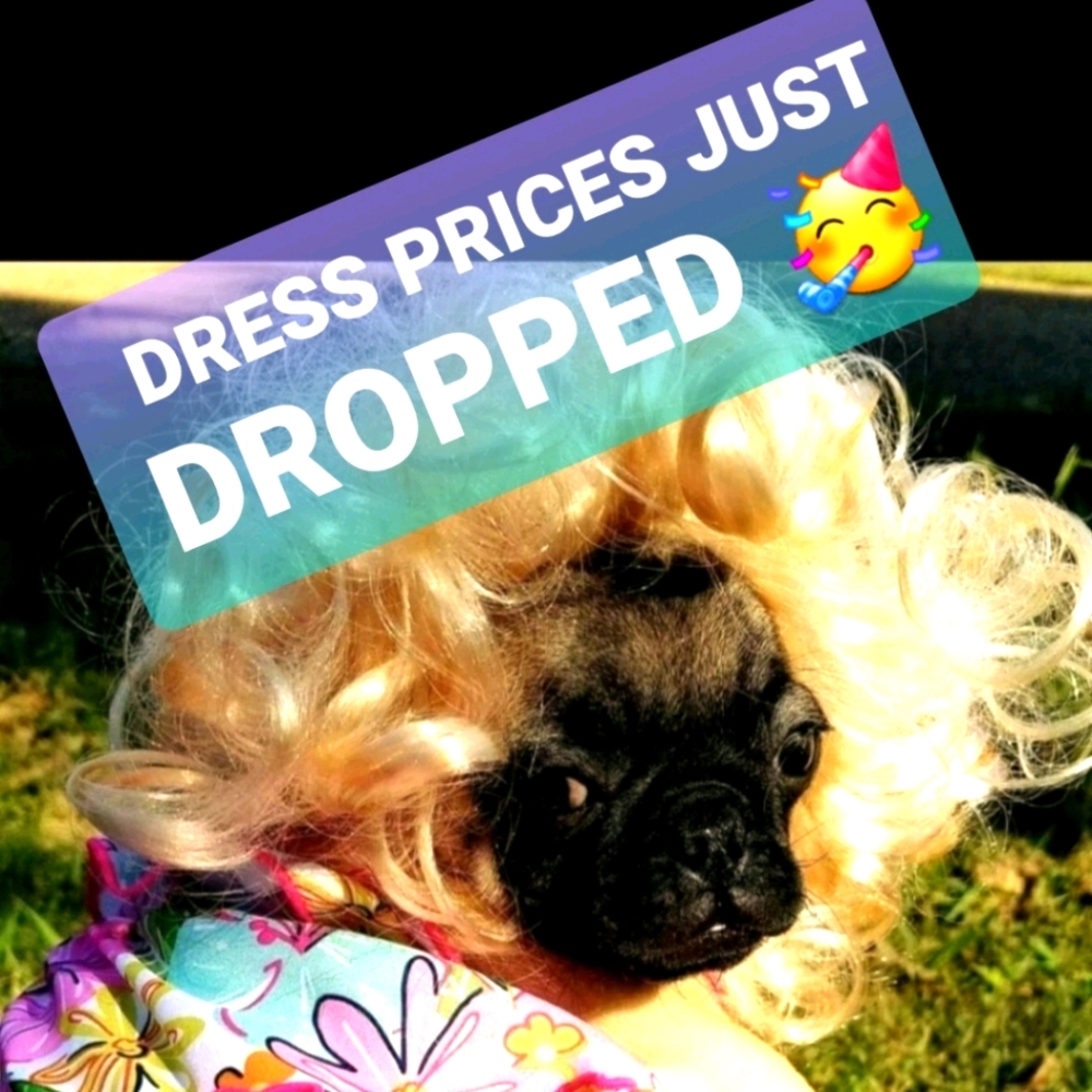 Dolly Pugton - Bargain Hunter
